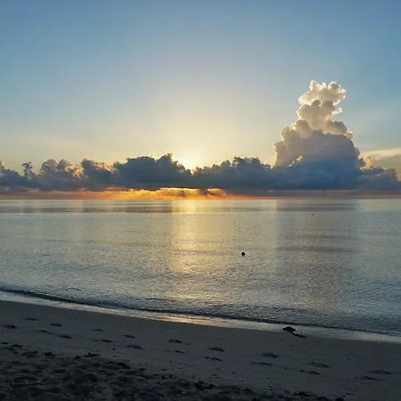 Miami Beach Resort & Spa-3